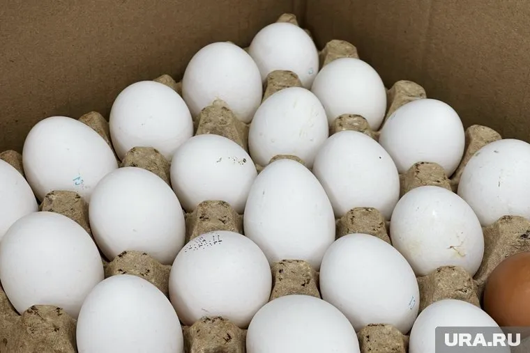 В Кургане за полгода года в разы подорожали куриные яйца