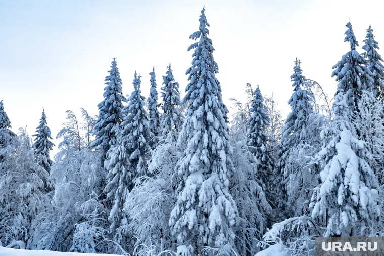 Спасатели продолжают поиски пропавшей в Красноярском крае семьи