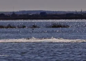 Глава райцентра в ЯНАО доложил по обстановке с паводком