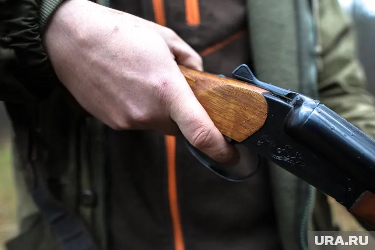 По словам властей округа, охотники помогают регулировать численность волков