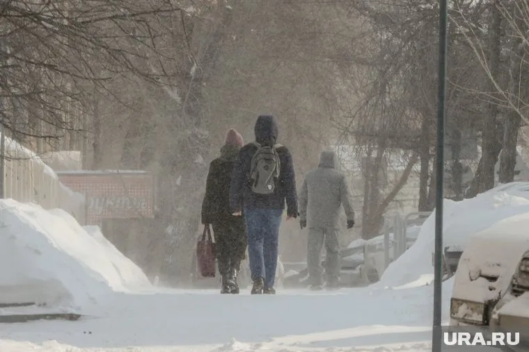 В районах ЯНАО ожидается усиление ветра с порывами до 20 метров в секунду