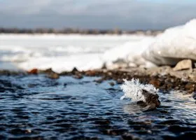 В Тюменской области мужчина утонул в озере