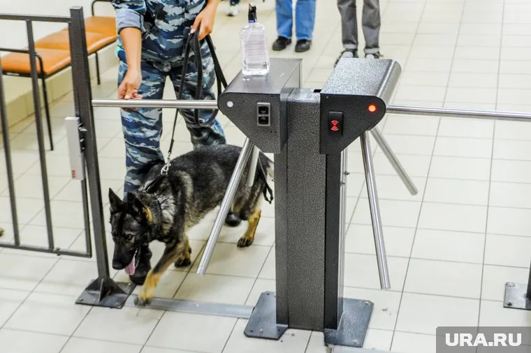 Полиция в Чусовом отреагировала на угрозы устроить теракт в школе