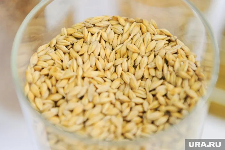 В Челябинской области развита пищевая перерабатывающая промышленность