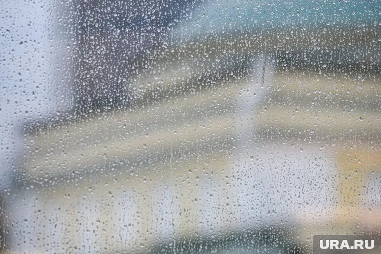 Почти в два раза больше осадков зафиксировано в Екатеринбурге