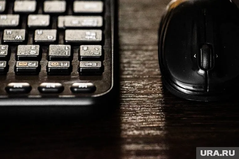 13 сентября жителям Тюменской области предлагают написать диктант по информационным технологиям