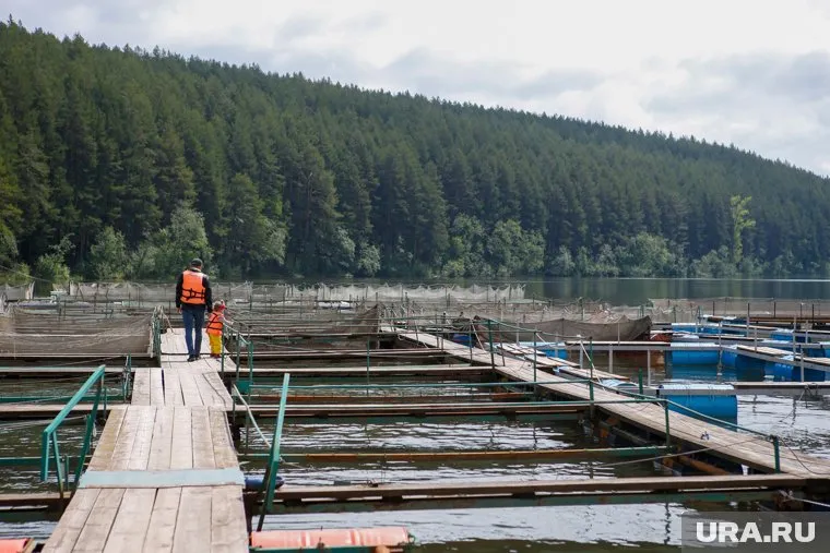Форелевая ферма на реке Куба. Свердловская область, Михайловск