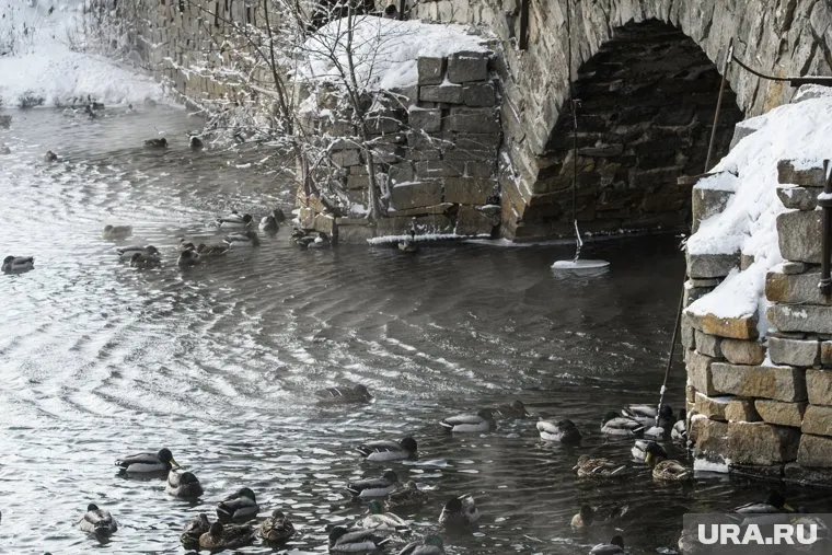 По фактам выявленных нарушений будут приняты меры, в соответствии с действующим законодательством РФ