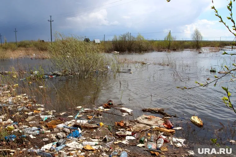 Мусор пообещали вывезти