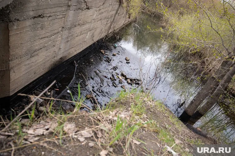 Подрядчики должны разместить инфраструктуру для прогулок, зоны отдыха, детские и спортивные площадки