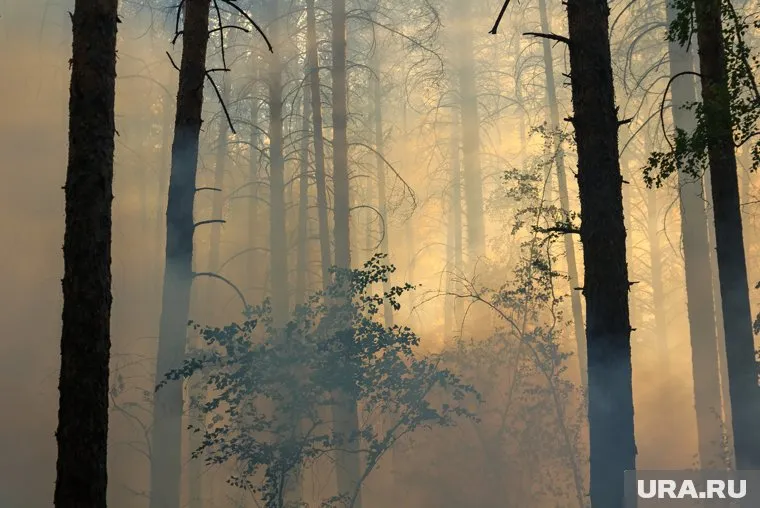 Пожар локализован, но продолжает тлеть