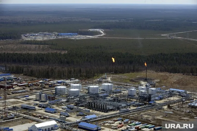 Земли оленеводов признаны сельхозугодиями, где с 2027 года будет запрещено разрабатывать месторождения