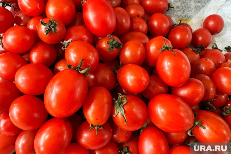 Зараженные овощи уничтожили