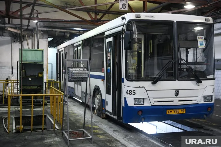 Женщину сбил автобус марки Нефаз (архивное фото)