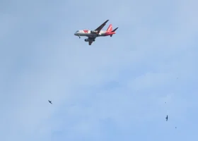 Саратовский аэропорт закрыл небо 