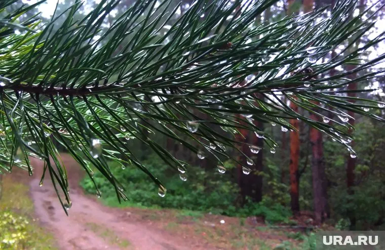 Сезон начался 20 апреля