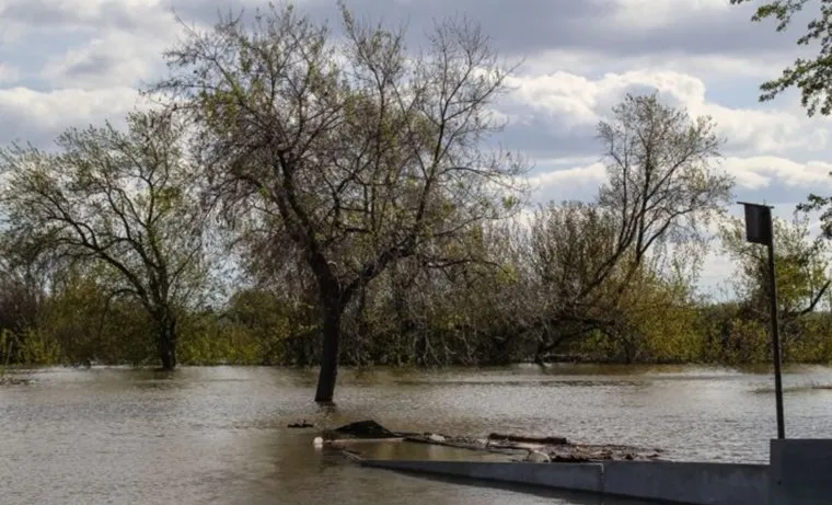 В Ишимском районе из-за подъема воды подтопило дорогу Ишим — Синицына