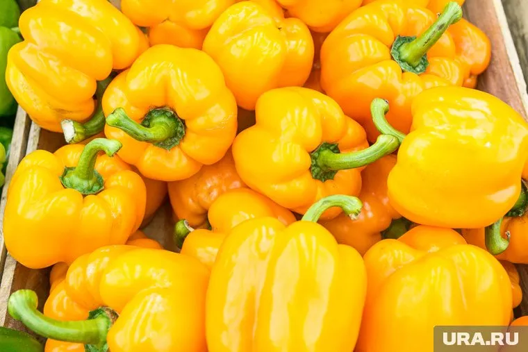 На самом деле наклейка с зеленой лягушкой означает, что продукт был произведен с заботой о природе (архивное фото)