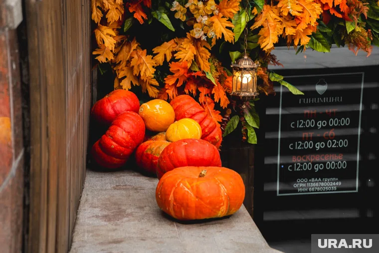 Из тыквы можно приготовить не только десерты