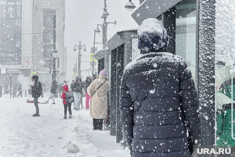 Снегопад прошел в Москве и Московской области