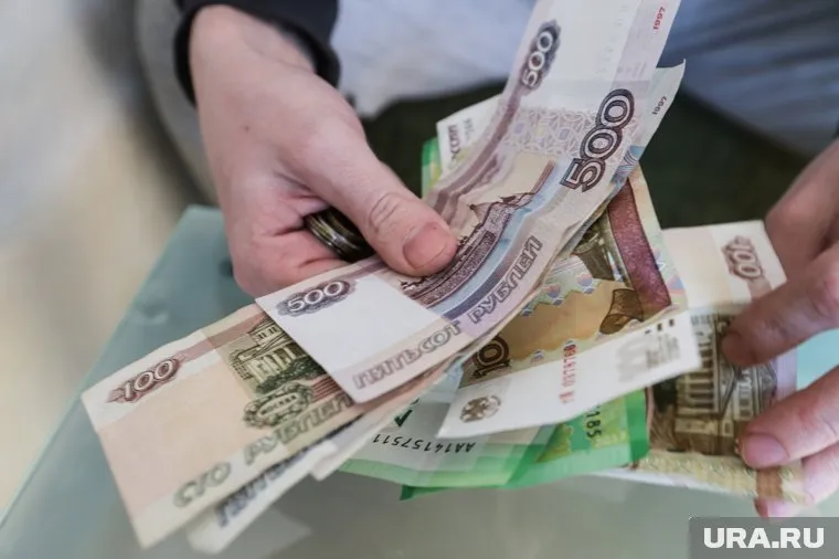Самая высокая средняя зарплата в Курганской области зафиксирована в сфере финансовой и страховой деятельности