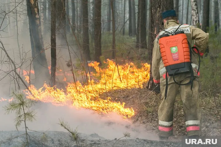 В Советском районе возле СНТ горит трава