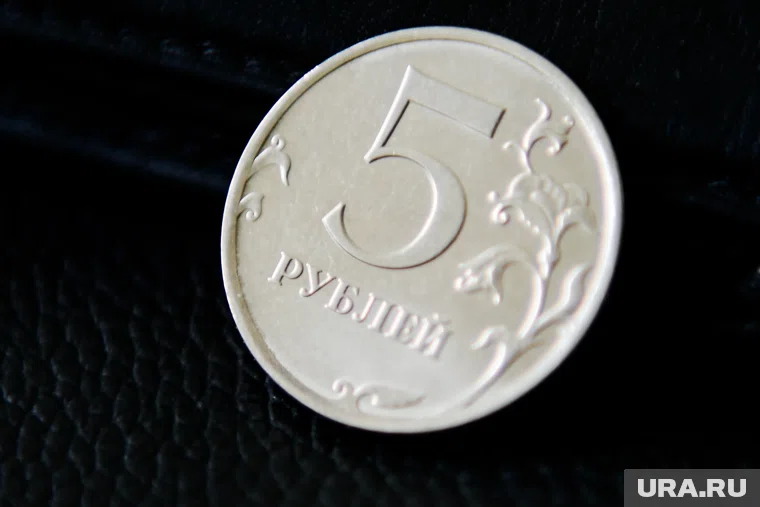 В Кургане редкую пятирублевую монету продают почти за миллион