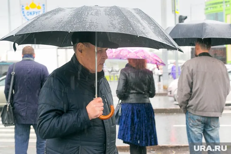 В течение недели в Тюмени ожидается пять дождливых дней