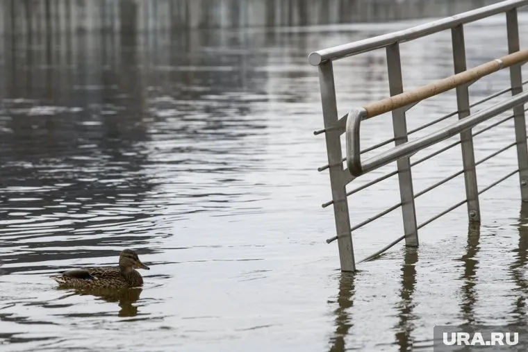 Большая вода принесла вдохновение главе района (архивное фото)