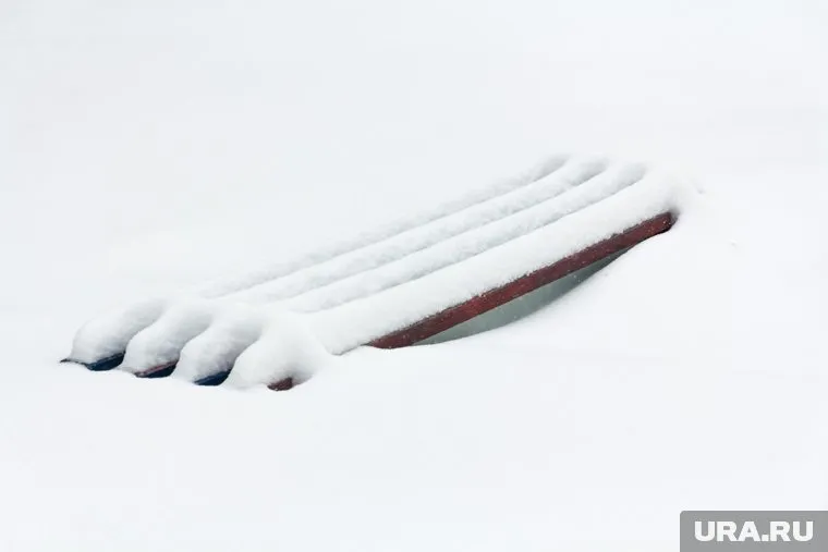 Чемпион Олимпиады по конному спорту Александр Блинов насмерть замерз по пути домой