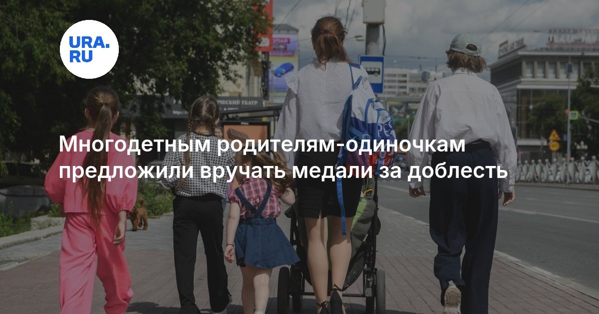 Многодетным родителям-одиночкам предложили вручать медали за доблесть