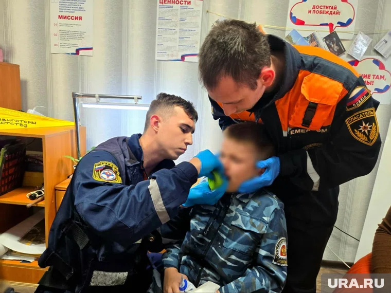 Помощь врачей перепуганному ребенку не потребовалась