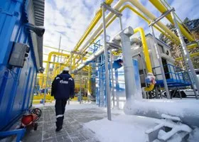 Евродепутат Мариани: ЕС в ближайшие месяцы попросит РФ о возобновлении поставок газа