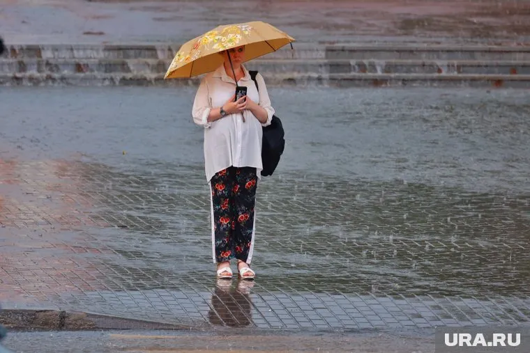 В Шадринске будет 25 градусов с дождем