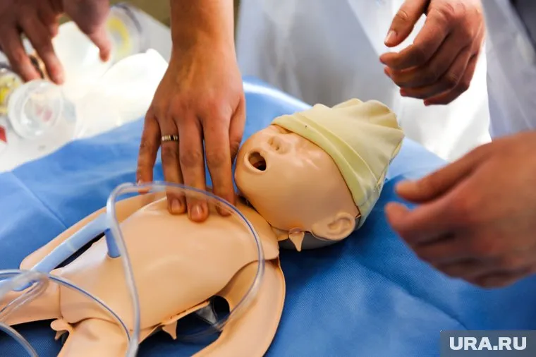 Сейчас делом занимается СК России