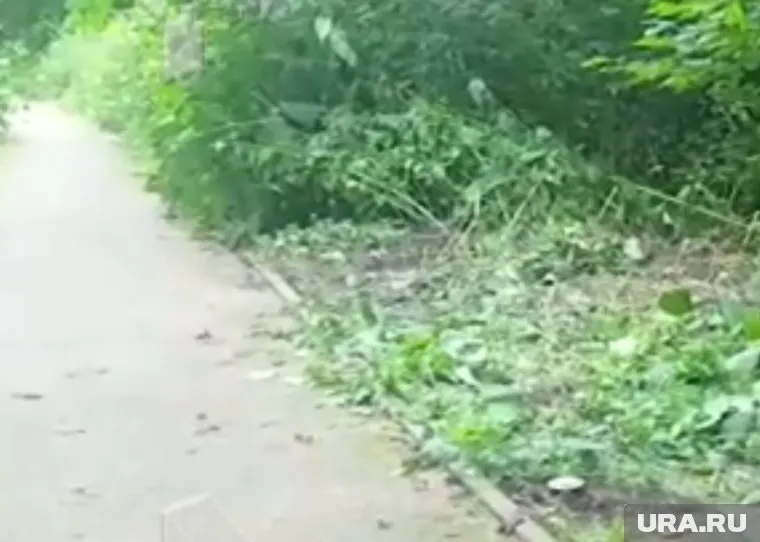 Мужчину застрелили на велодорожке