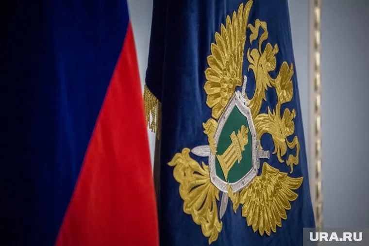 Приговор вынесен Химкинским судом и поддержан государственным обвинителем