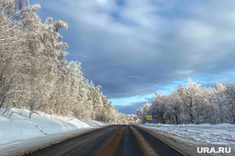 В Курганской области водителям советуют соблюдать осторожность при движении по дорогам