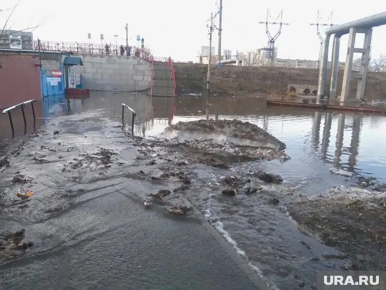 От лужи не спастись