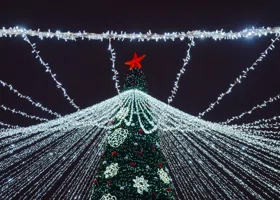 В Тюмени приступили к установке главной новогодней елки города. Фоторепортаж