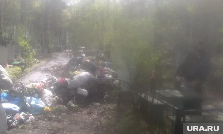 После появления этого фото в Сети прокуратура начала проверку