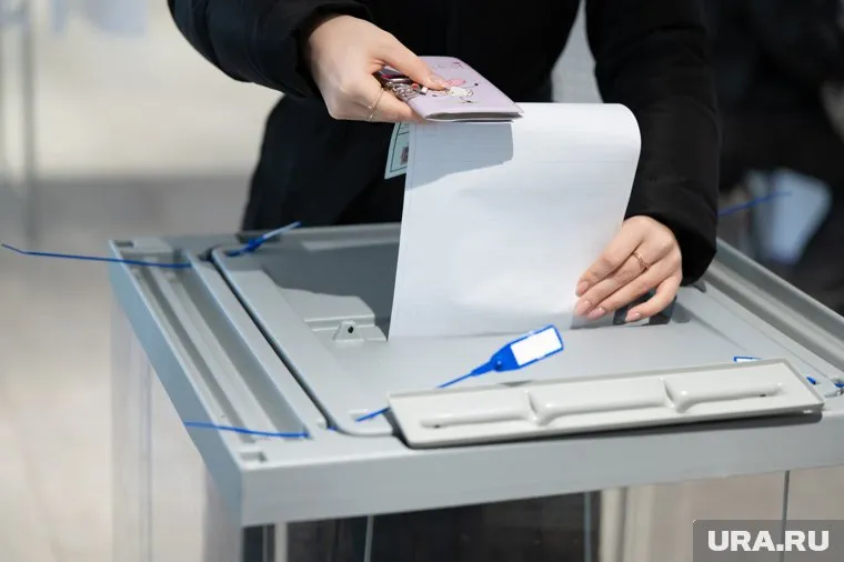 В выборах участвуют 11 кандидатов