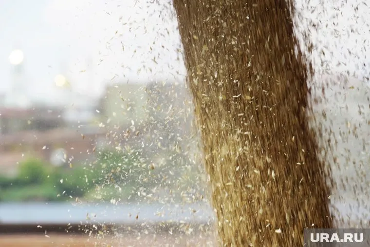 Зерновая сделка может обойтись без Украины, считает Елена Супонина