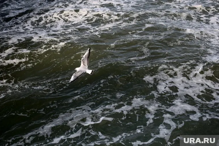 Сейчас пляжи в Анапе чистые, но все может измениться из-за погоды