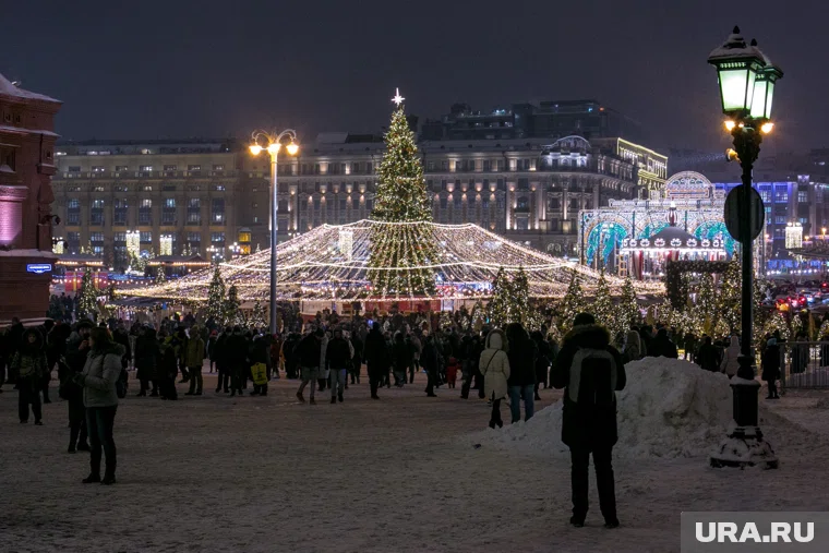 Больше трети опрошенных россиян собираются провести новогодние каникулы дома