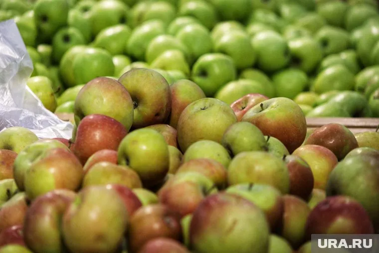 В Россельхознадзоре проверили фрукты и овощи