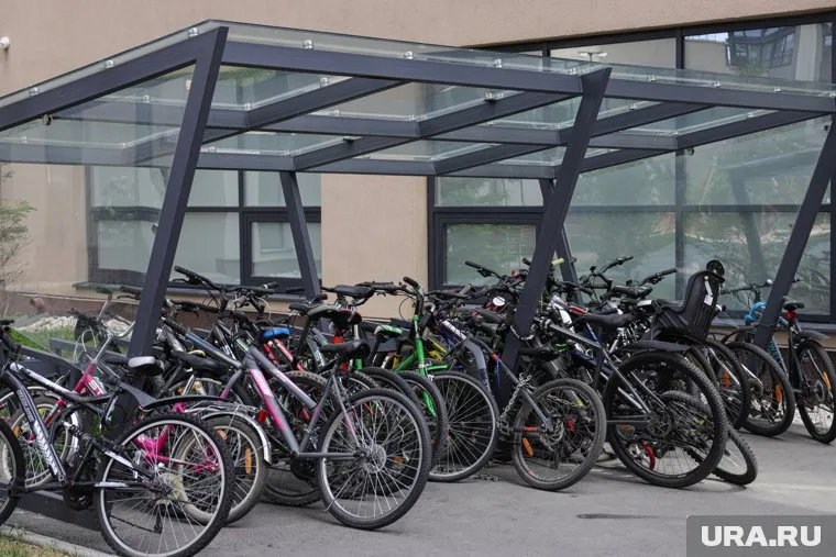 До 70 участников велогонки Riderman в Германии пострадали после падения одного из участников