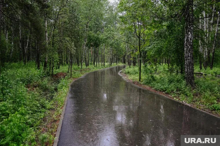 Строительство закончат в 2029 году