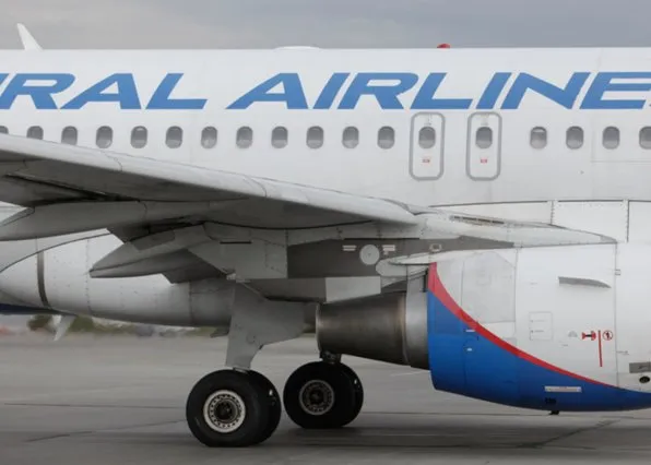 Фотография из галереи