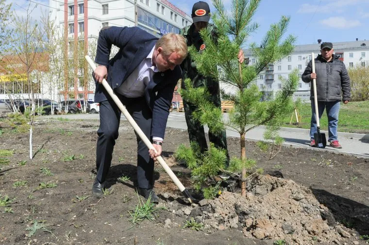 Высадка деревьев в Литературном сквере, возле Челябинской областной публичной библиотеки. Челябинск, дубровин олег, высадка сосны